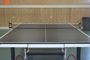 Ping Pong table_5394