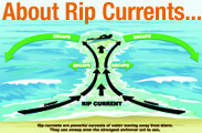 Rip Current Guide