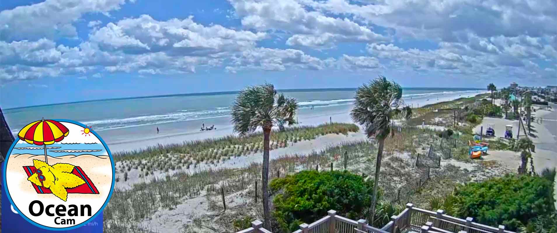 ocean gallery web cam