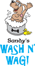 Dog wash logo for Sandy's Wash N' Wag
